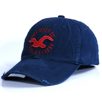 Бейсболки Hollister 6290