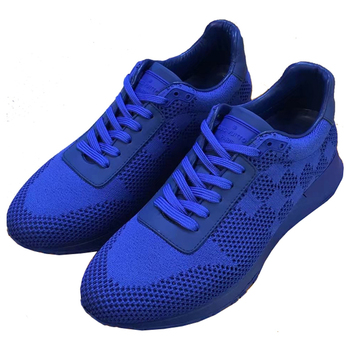 Синие кроссовки LV 5890-2