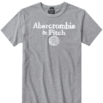 Футболка серого цвета Abercrombie & Fitch 9657