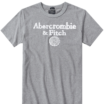 Футболка серого цвета Abercrombie & Fitch 9657