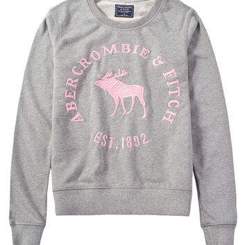 Толстовка серая с большой вышивкой Abercrombie Fitch 15045-1
